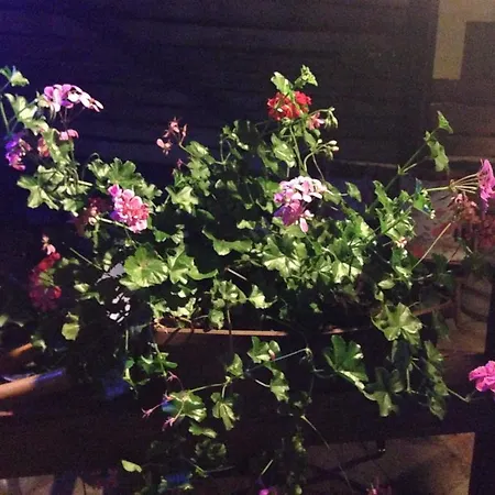 The 빌라 스몰랸