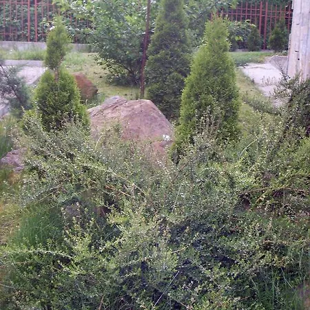 The * Szmoljan