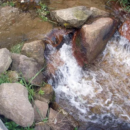The Szmoljan