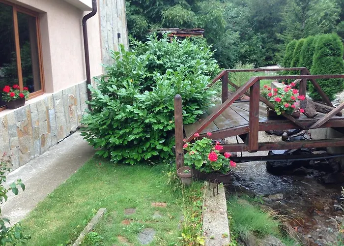 The スモーリャン