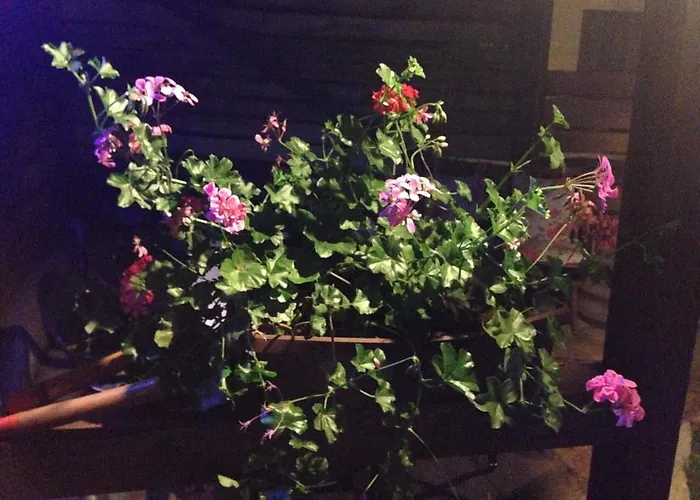 The ヴィラ スモーリャン