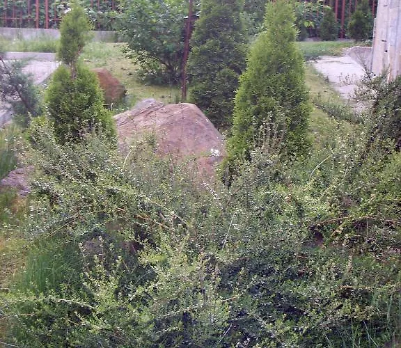 The * スモーリャン