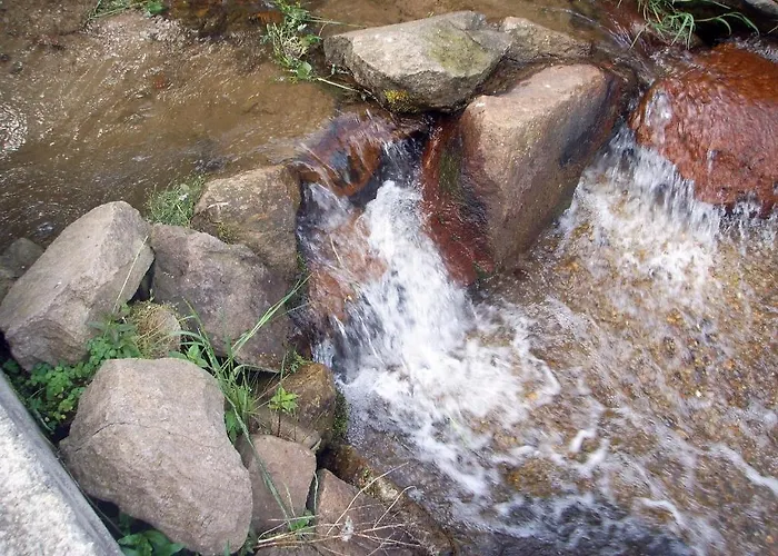 The スモーリャン